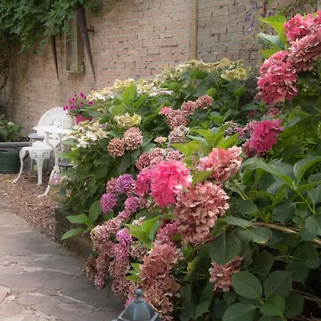 Bed & Sauna Bed & Breakfast Zutphen