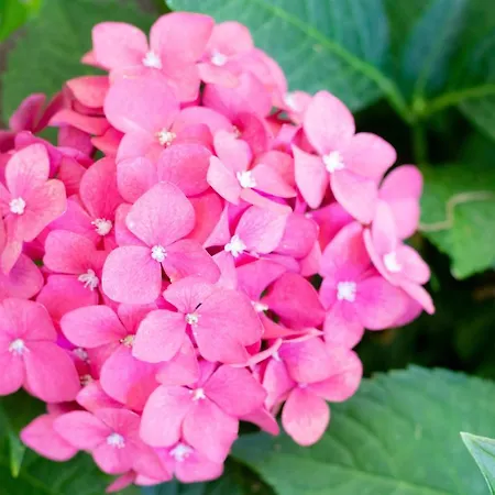 Bed & Sauna Bed & Breakfast 4*