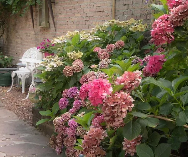 Bed&sauna Bed and breakfast Zutphen