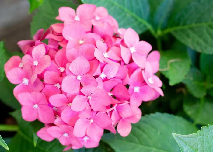 Bed&sauna Bed and breakfast 4*